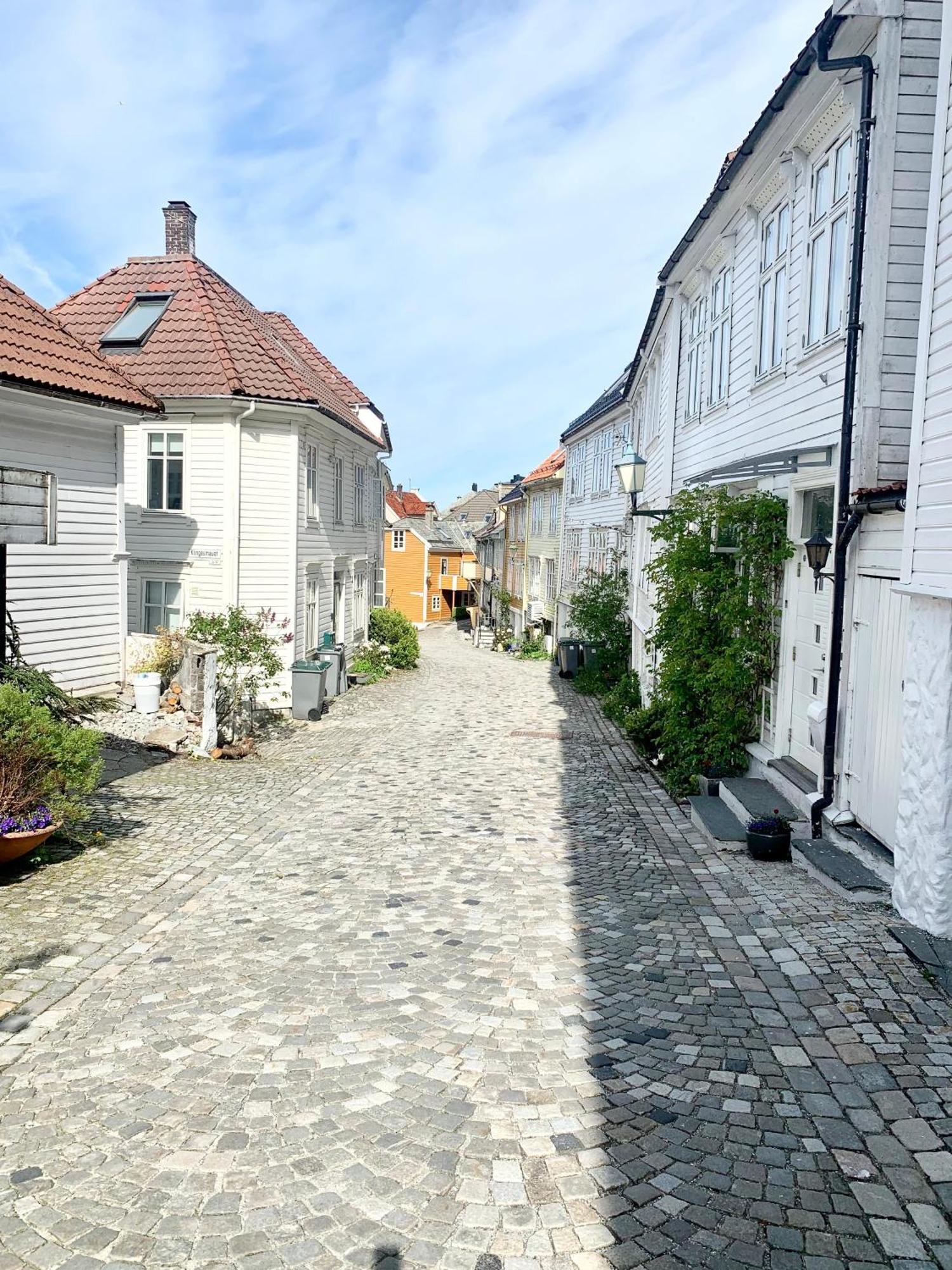 Nedre Stølen Apartment Bergen Buitenkant foto